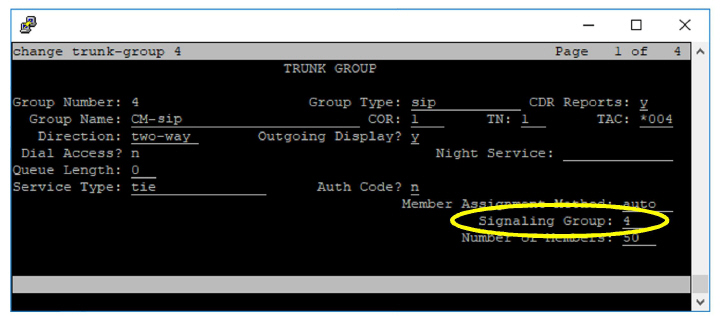 New_Trunk_Group.jpg