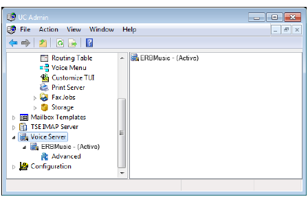 Voice_Server_Admin.png