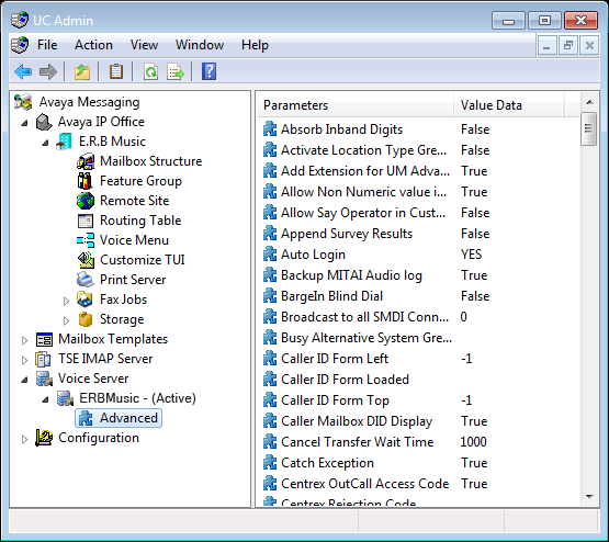 Voice_Server_Advanced_Fields.png