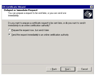 Exchange_IIS_Certificate_Delayed_Request.jpg