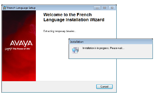 IXM_Server_Install_Guide_Language_Pack00004.jpg